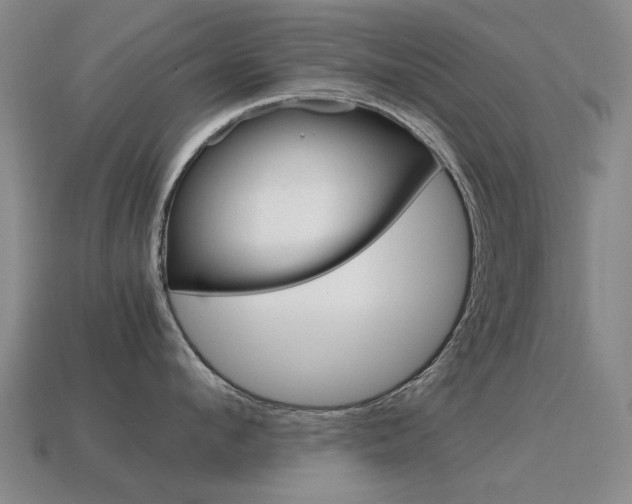 X0000115600912200911100949