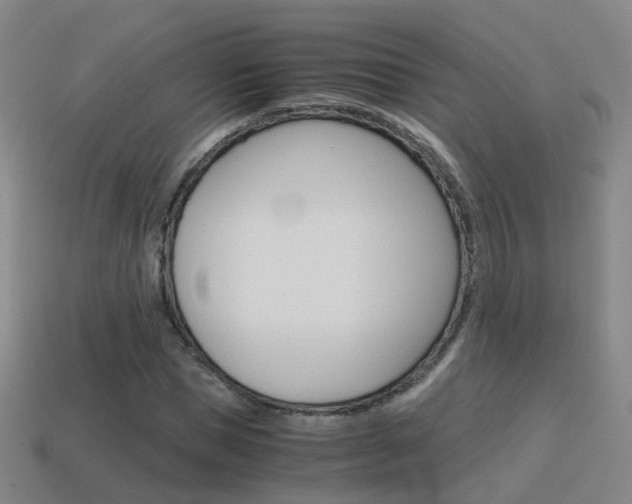 X0000115600921200911100949
