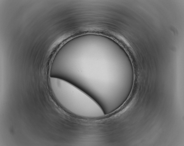 X0000115600922200911100949