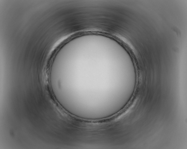 X0000115600925200911100949