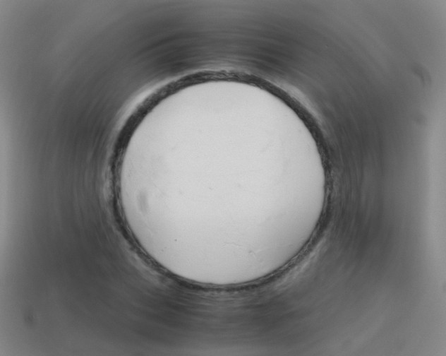 X0000115600927200911100949