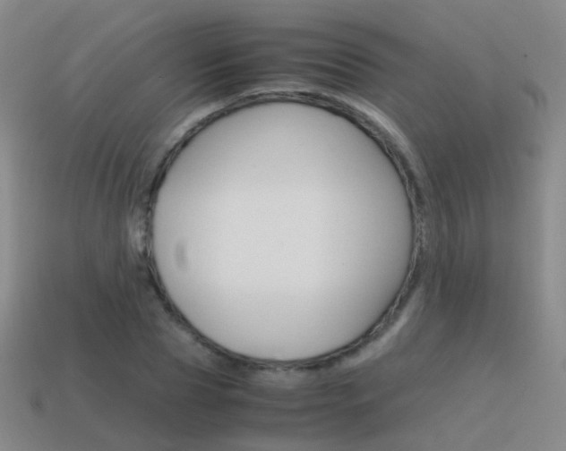 X0000115600929200911100949