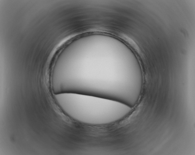 X0000115600931200911100949