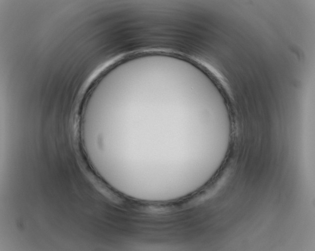 X0000115600933200911100949