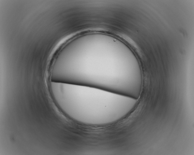 X0000115600935200911100949