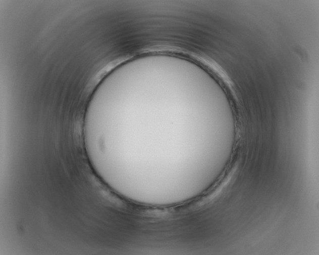X0000115600937200911100949