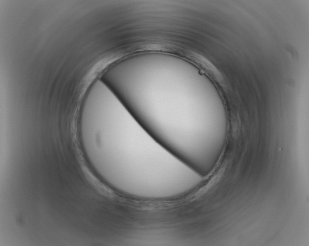 X0000115600938200911100949
