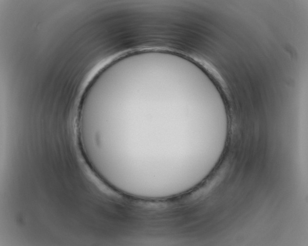 X0000115600941200911100949