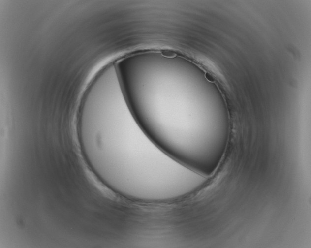 X0000115600942200911100949