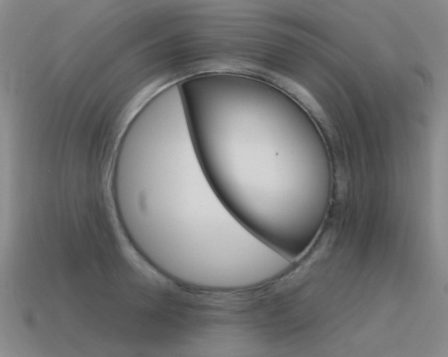 X0000115600946200911100949