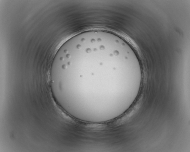 X0000115600953200911100949