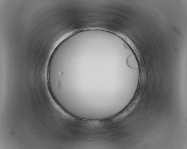 X0000115600957200911100949