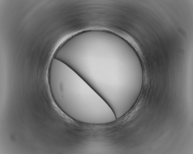 X0000115600958200911100949