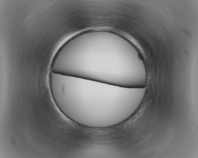 X0000115600959200911100949