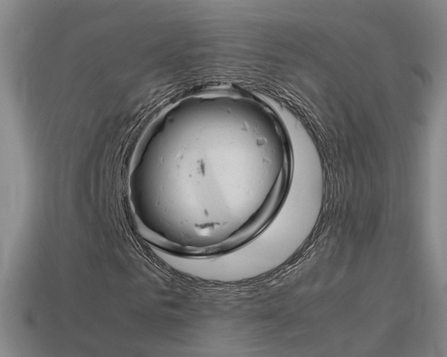 X0000115600961200911100949