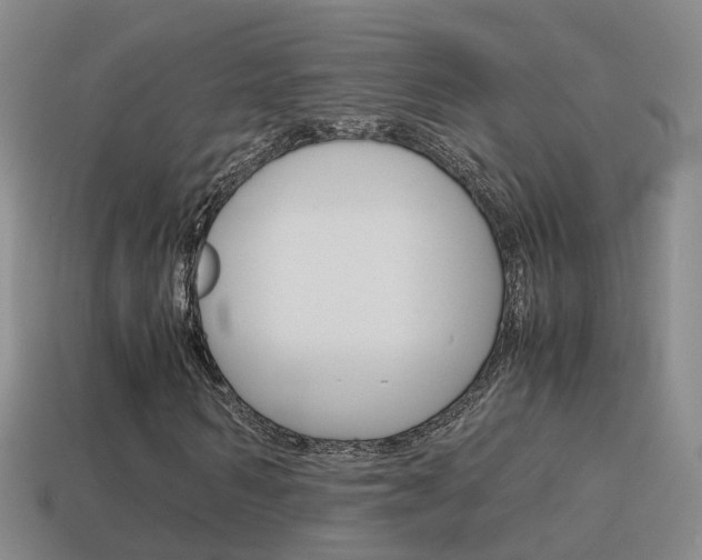 X0000115600962200911100948