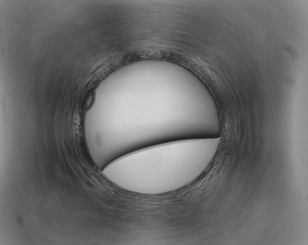 X0000115600964200911100948