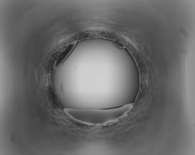 X0000115600965200911100948
