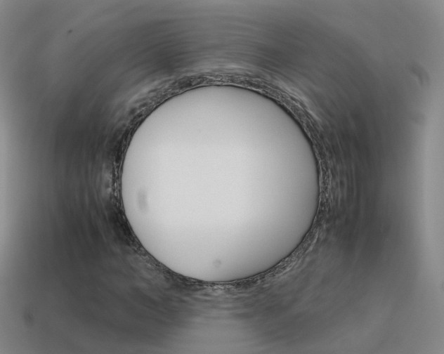 X0000115600966200911100948