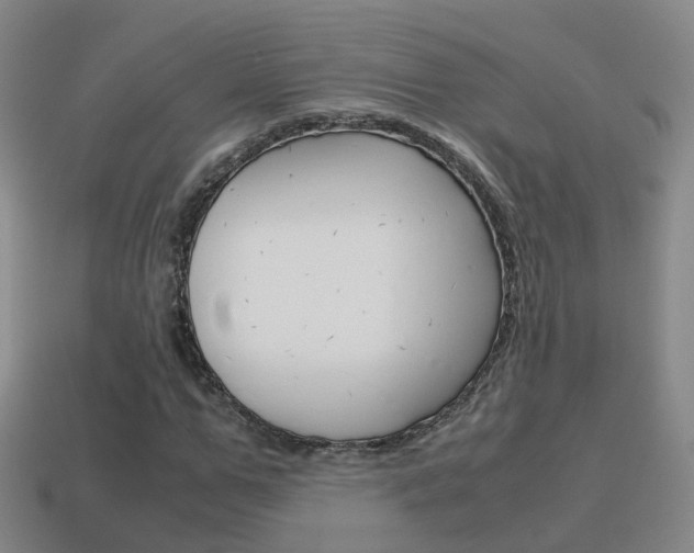 X0000115600967200911100948