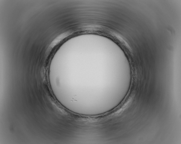 X0000115600970200911100948