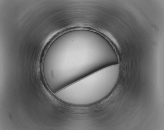 X0000115600972200911100948