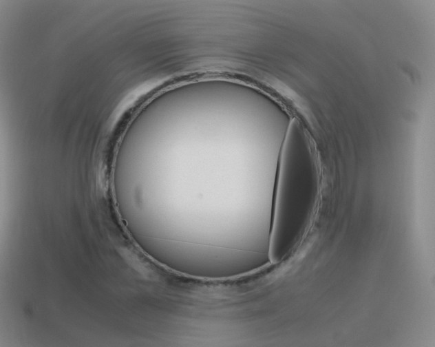 X0000115600973200911100948