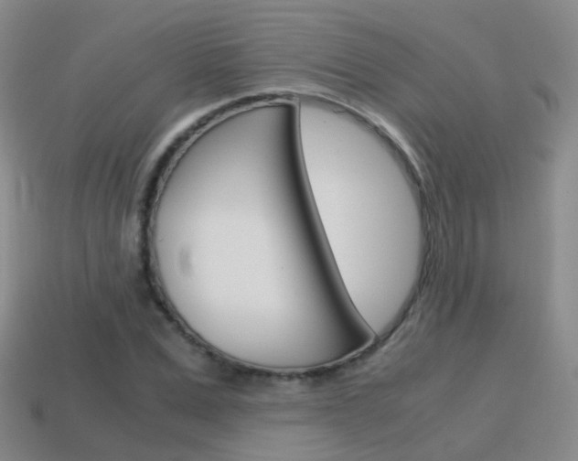 X0000115600975200911100948