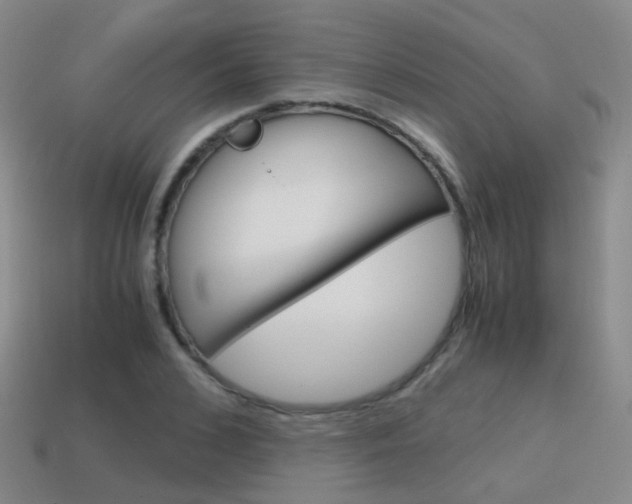 X0000115600976200911100948