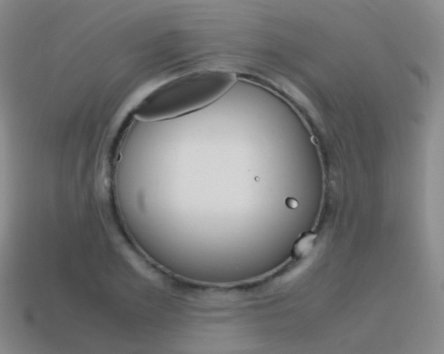 X0000115600981200911100948