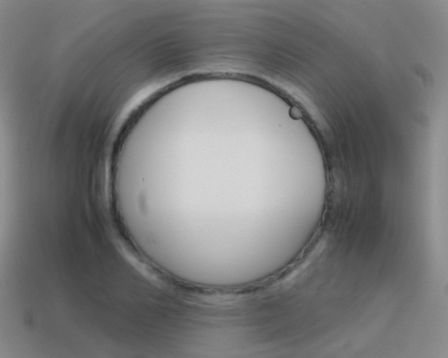 X0000115600982200911100948