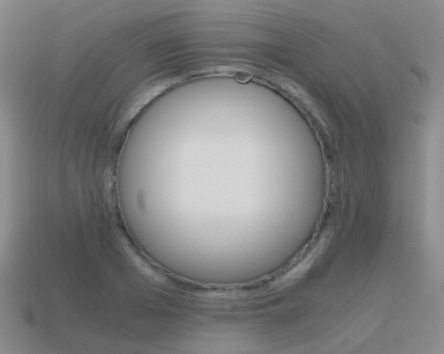 X0000115600985200911100948