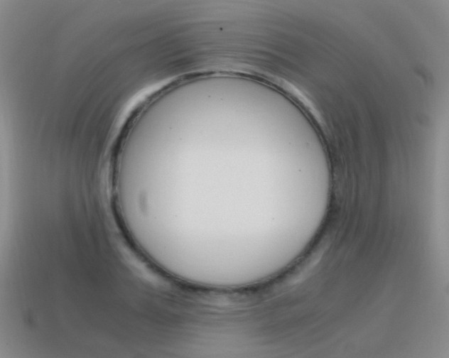 X0000115600987200911100948