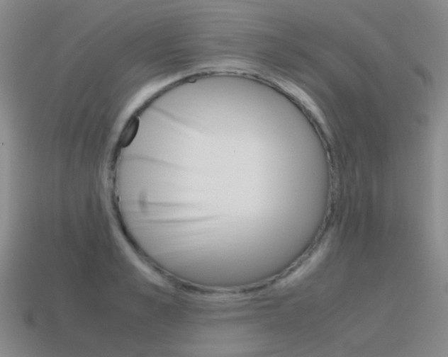 X0000115600989200911100948