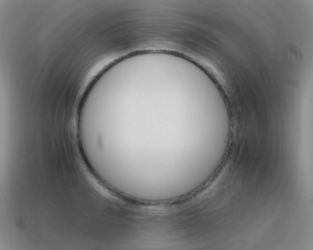 X0000115600990200911100948