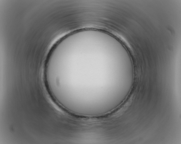 X0000115600991200911100948
