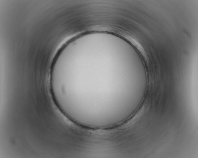 X0000115600992200911100948