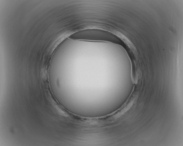 X0000115600993200911100948