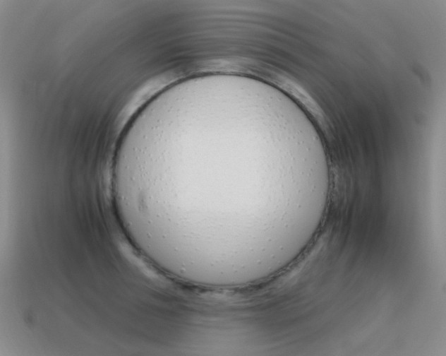 X0000115600994200911100948