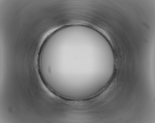 X0000115600995200911100948