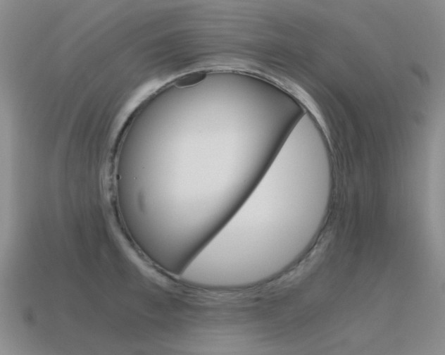 X0000115600997200911100948