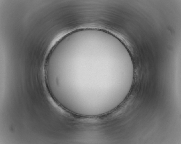 X0000115600998200911100948