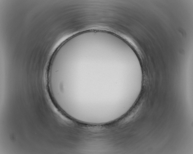 X0000115600999200911100948