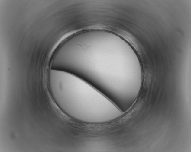 X0000115601000200911100948