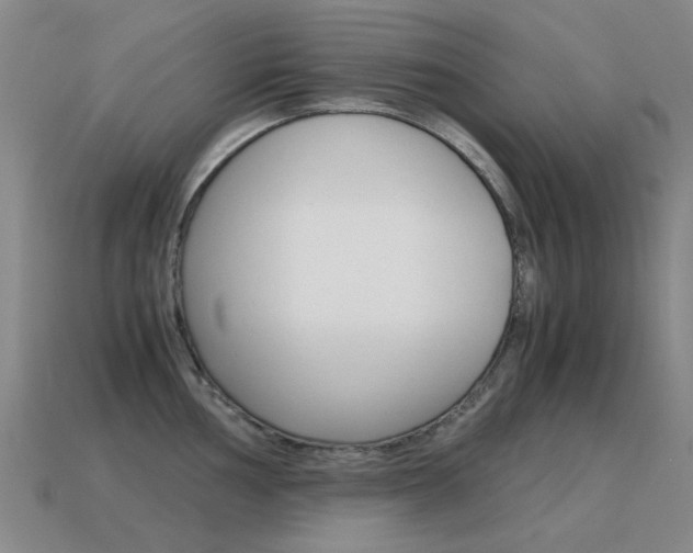 X0000115601002200911100948