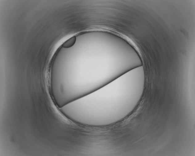 X0000115601003200911100948