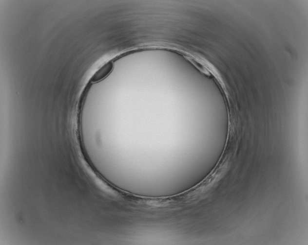 X0000115601005200911100948