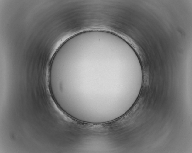 X0000115601006200911100948