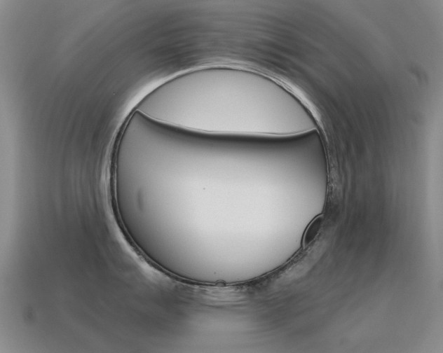 X0000115601007200911100948