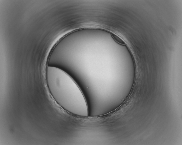 X0000115601008200911100948